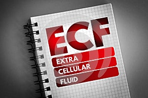 ECF - Extracellular fluid acronym