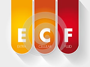 ECF - Extracellular fluid acronym