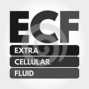 ECF - Extracellular fluid acronym, medical concept