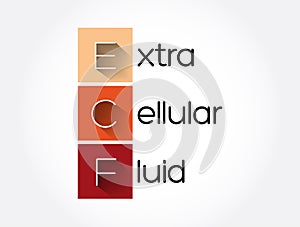 ECF - Extracellular fluid acronym, medical concept background