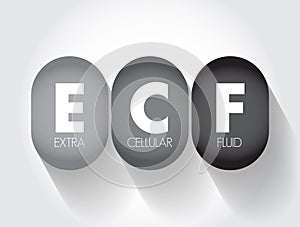 ECF Extracellular fluid - body fluid that is not contained in cells, acronym text concept background