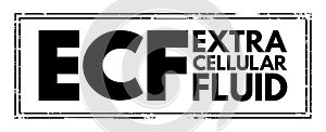 ECF Extracellular fluid - body fluid that is not contained in cells, acronym text concept stamp