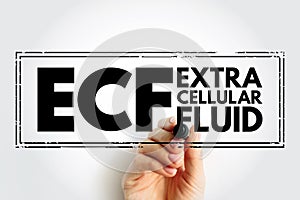 ECF Extracellular fluid - body fluid that is not contained in cells, acronym text concept stamp