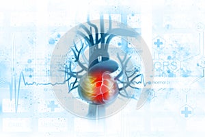 ECG background with human heart