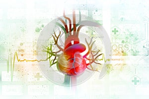 ECG background with human heart