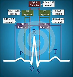 ECG or electrocardiogram showing normal time duration