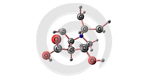 Ecgonine molecular structure isolated on white