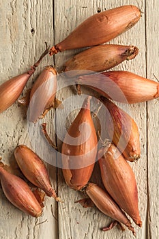 Echalion shallots
