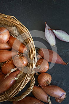 Echalion shallots