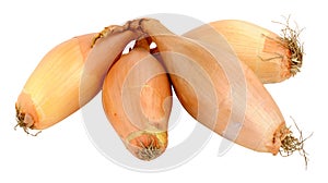 Echalion Shallots