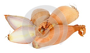 Echalion Shallots