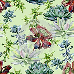 Watercolor succulents seamless pattern. photo