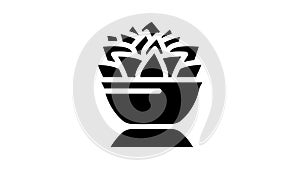 echeveria lola glyph icon animation