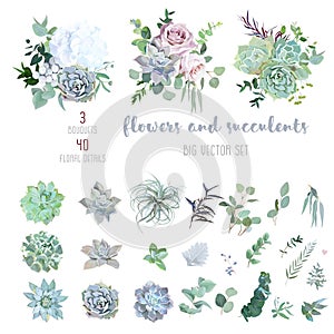 Echeveria, tillandsia blue, grey, mint succulents, white hydrangea, pale pink rose