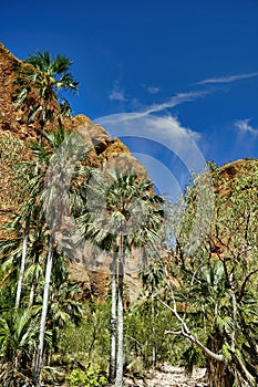 Echidna Chasm in the Bungle Bungle National Park photo