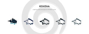 Echidna icon in different style vector illustration. two colored and black echidna vector icons designed in filled, outline, line