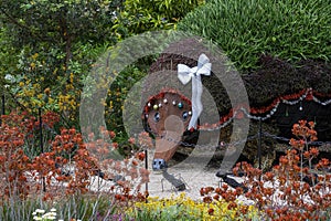 Echidna topiary with Christmas decorations, Sydney, New South Wales, Australia