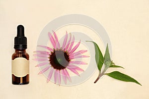 Echinacea Alternative Herbal Medicine