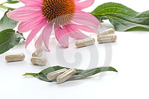 Echinacea capsules photo