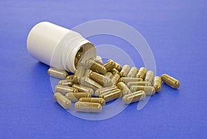 Echinacea capsules and white container