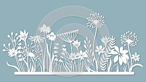 Echinacea, chamomile, schefler, noble hepatica, zephyrantes, stokesia. Vector illustration. Set of paper flower, stickers. Laser