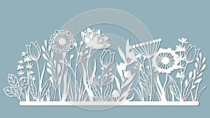Echinacea, chamomile, schefler, noble hepatica, zephyrantes, stokesia. Vector illustration. Set of paper flower, stickers. Laser