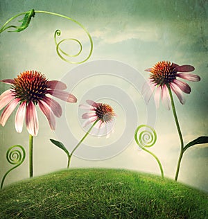 Echinacea flowers in fantasy landscape