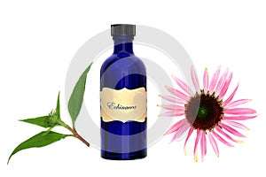 Echinacea Medicinal Tincture for Bronchitis Coughs and Colds