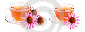 Echinacea tea isolated on white background. Medicinal tea