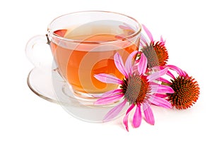 Echinacea tea isolated on white background. Medicinal tea