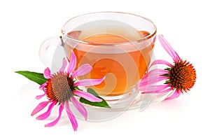 Echinacea tea isolated on white background. Medicinal tea