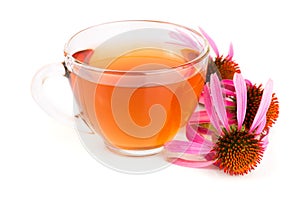 Echinacea tea isolated on white background. Medicinal tea