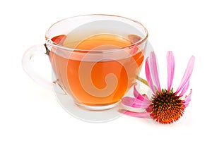 Echinacea tea isolated on white background. Medicinal tea