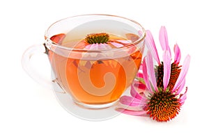 Echinacea tea isolated on white background. Medicinal tea