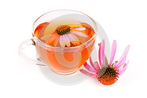 Echinacea tea isolated on white background. Medicinal tea