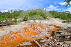 Echinus Geyser Yellowstone