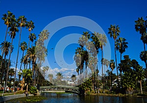 Echo Park with a Beautiful palms landscape