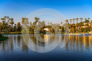 Echo Park Lake with pedal boats and palm trees in Los Angeles, California