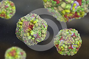 Echo viruses, 3D illustration