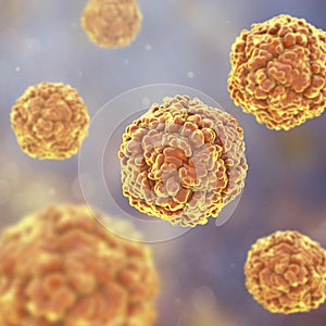 Echo viruses, 3D illustration