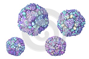 Echo viruses, 3D illustration