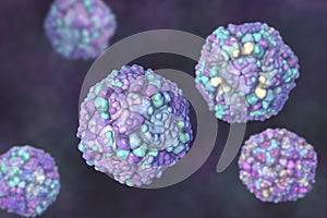 Echo viruses, 3D illustration