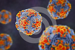 Echo viruses, 3D illustration