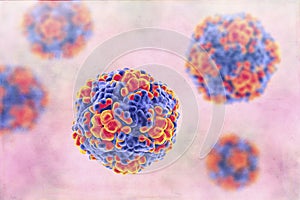 Echo viruses, 3D illustration