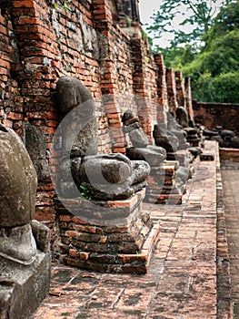 Echoes of Empires: Timeless Statues in Ayutthaya's Ruins.