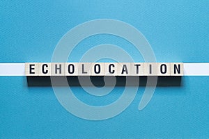 Echolocation - word concept on cubes