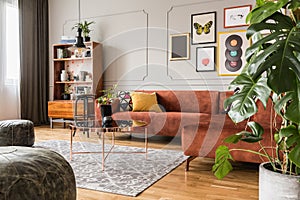 Eclectic living room interior