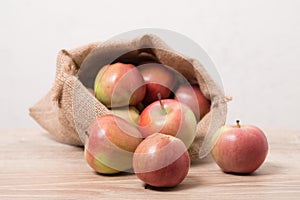 Eco apples. Spring farm apples.