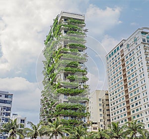 Eco architecture. Green cafe with hydroponic plants on the facade. Ecology and green living in city, urban environment