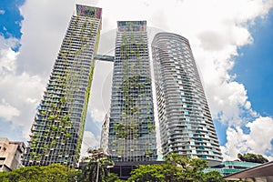 Eco architecture. Green skyscraper building with plants growing on the facade. Ecology and green living in city, urban environment